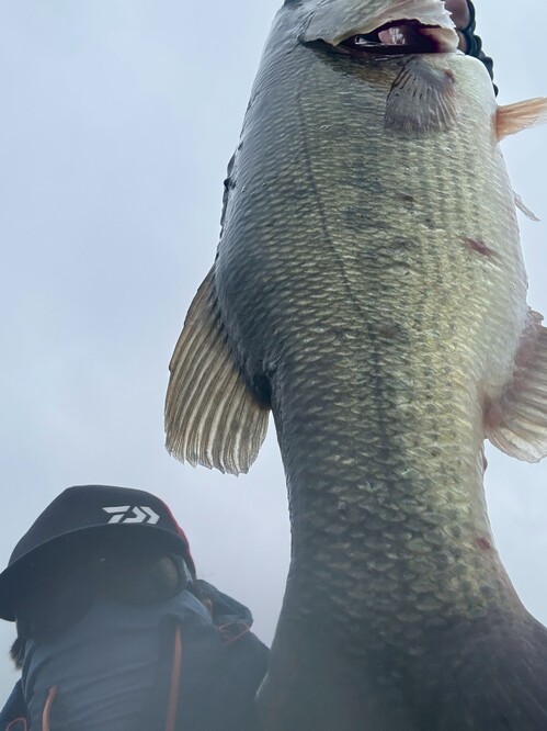 line_oa_chat_251025_150449 (002)KL.jpg